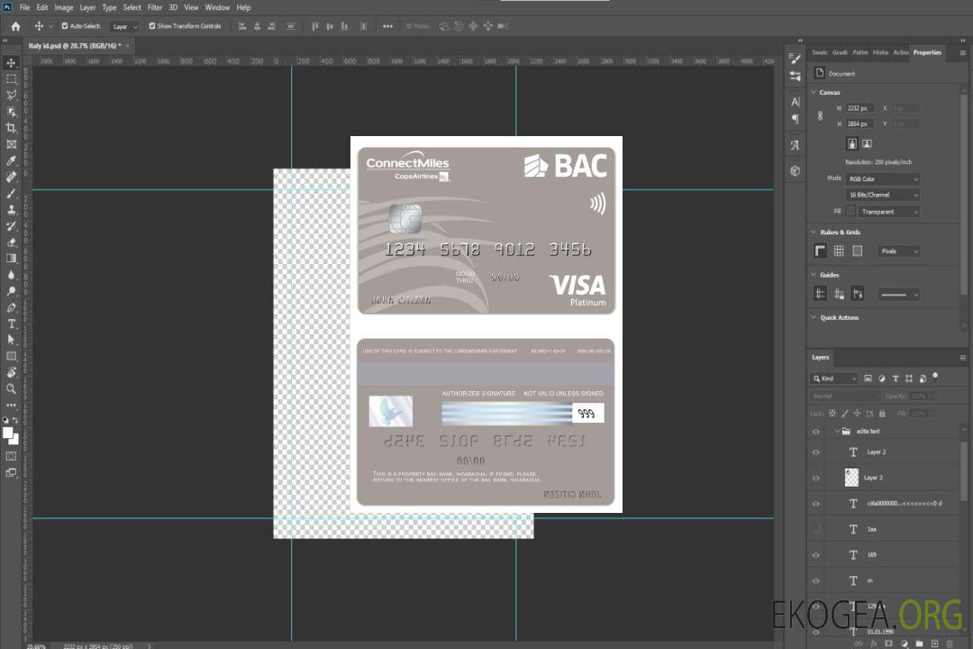 Carte Visa Platine Nicaragua BAC Bank template